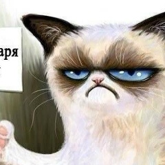 Андрей Кучинский, 29.04.1979, Киев