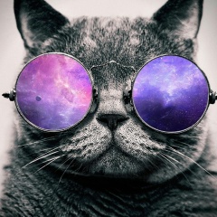 Антон Фивег, 25.12.1982, Санкт-Петербург