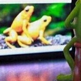 Алексей Капкин, 02.10, Озёры