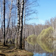 Вагиф Джафаров, 19.01, Москва