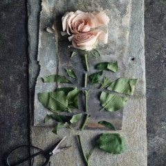 Амина Бахаева, 21.05.1992, Москва