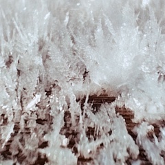 Наталья Дудина, Великий Новгород