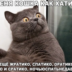 Замира Азизова, Санкт-Петербург