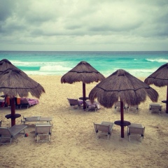 Агава Голубая, 19.04, Санкт-Петербург