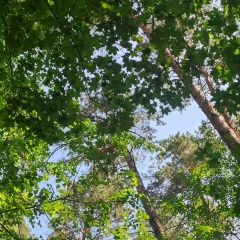 Анастасия Иванова, 12.06, Тула