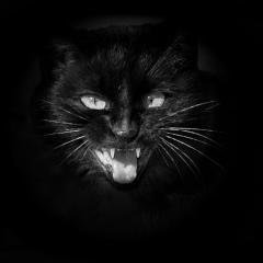 Константин Базаров, 27.07.1987, Киев