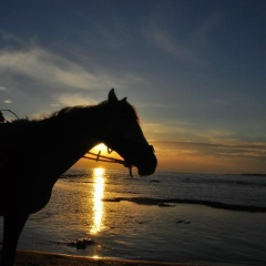 Алсу Хамитовна, Набережные Челны