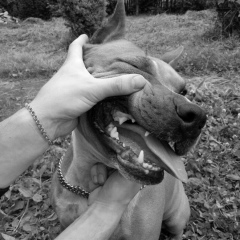 Игорь Валерьевич, 01.09, Москва