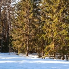 Оля М, Санкт-Петербург