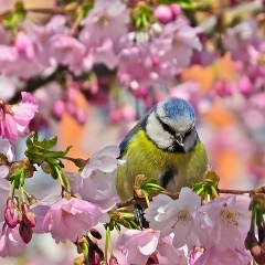 Лилия Гайнетдинова, 18.05.1970, Нурлат
