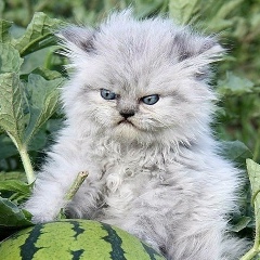 Михаил Машенцов, 03.07, Нижний Новгород