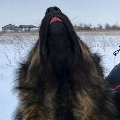 Darker Black, 13.07.1988, Санкт-Петербург