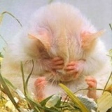 Лариса Хомячкова, 25.09.1925, Санкт-Петербург