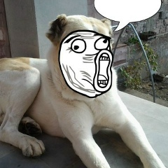 Левон Хачатрян, Ереван