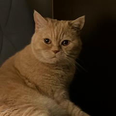 Марина Игоревна, 20.11