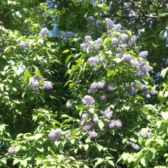 Ирина Фёдорова, 21.11, Санкт-Петербург