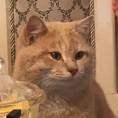 Djabrail Abdulkarimov, 09.07.1999, Саратов