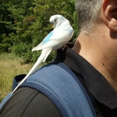 Александр Зубков, 30.03, Саратов
