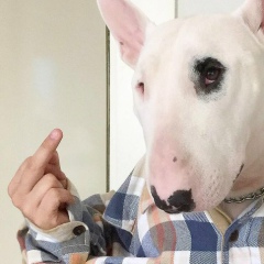 Антон Хорнетов