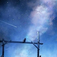 Anna Svetkina, 11.05.1987, Новокузнецк