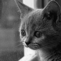 Ясенька Бевзюк, 17.10.1988, Нетешин