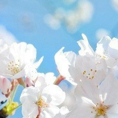 Dinara Berdalieva, 07.10.1988, Талдыкорган