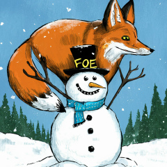 Koto Pes, 06.06, Fier