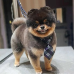 Alena Limon, 09.02.1979, Санкт-Петербург