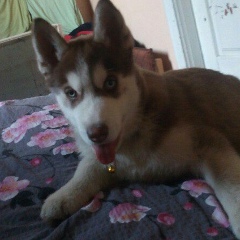 Катерина Акимова, Марьянское