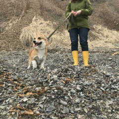 Вероника Dthjybrf, 01.01, Москва