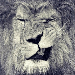 Zhenya Medyanik, 04.08, Санкт-Петербург