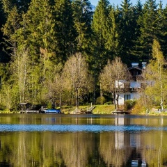 Михаил Ли, 30.10.1984, Караганда