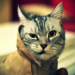 Сени Жонинг