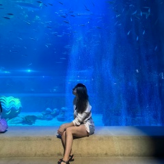 Юлия Волкова