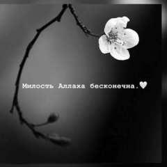 Радима Евлоева, 19.10