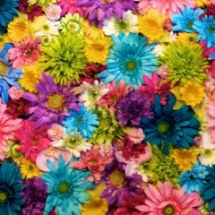 Таира Галимова, 12.11, Павлодар