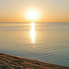 Кирилл Кирилов, 11.12