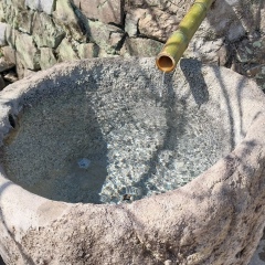 Дэ Хо Чой, Свердловский