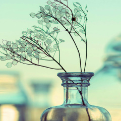 Hlwan Moe, 09.01.1984