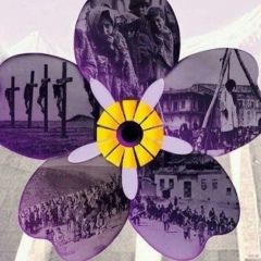 Виген Апресян, 14.10.1986, Санкт-Петербург