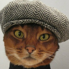 Паша Попельницкий, 27.04