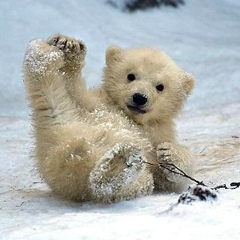 Marina Maksimova, 29.06, Самара