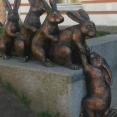 Elena Gaiotti, 19.05.1970, Linz