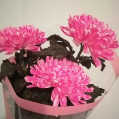 Гульнар Салихова, 14.07, Баймак