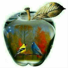 Нокисбай Хожакметов, 25.10.1979