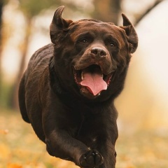 Анна Данилина, 30.04, Санкт-Петербург