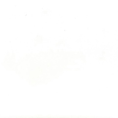 Петр Красковский, Санкт-Петербург