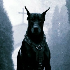 Александр Марченко, 27.07, Санкт-Петербург