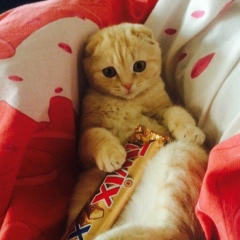 Марина Бурлак, 04.08.1989, Нижний Новгород