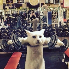 Бексултан Бархитов, 04.03, Караганда